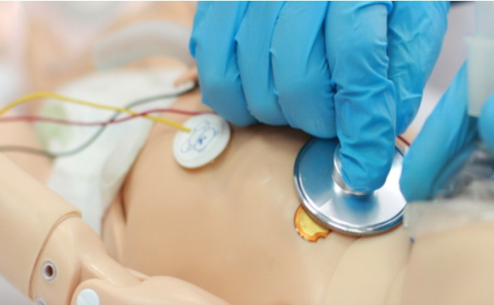Pediatric Advanced Life Support (PALS)