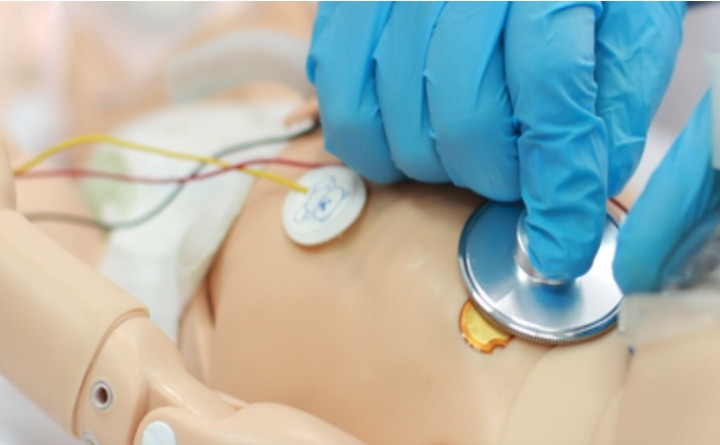 Pediatric Advanced Life Support (PALS)